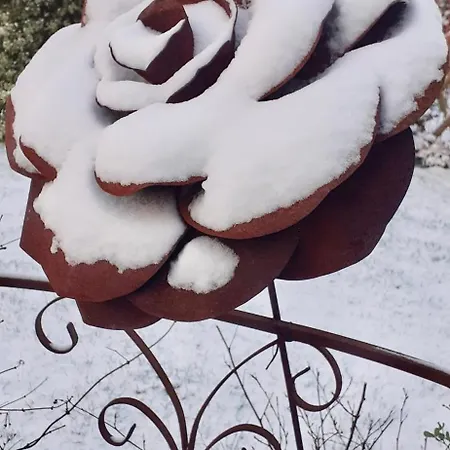 Couette-café Les Champs De Tracy La Graverie