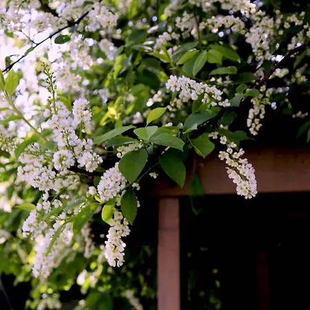 Les Champs De Tracy La Graverie