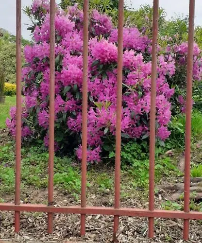 Couette-café Les Champs De Tracy 3*