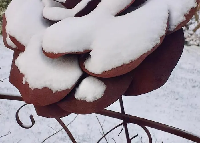 Couette-café Les Champs De Tracy La Graverie