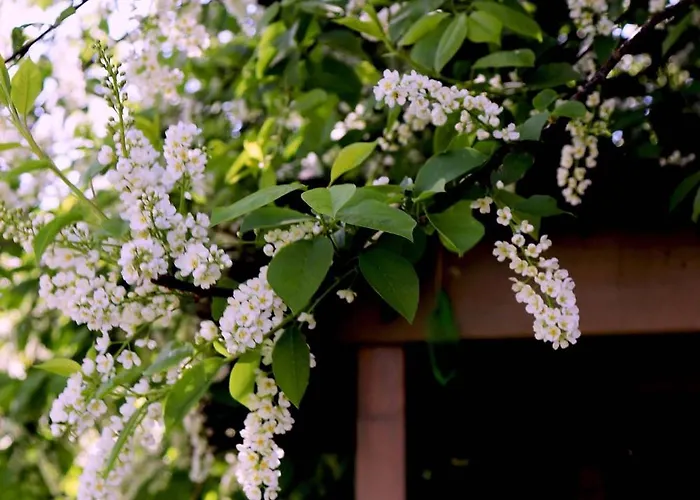 Les Champs De Tracy La Graverie