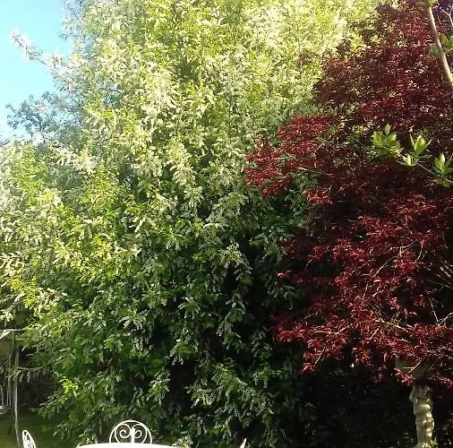 Couette-café Les Champs De Tracy La Graverie