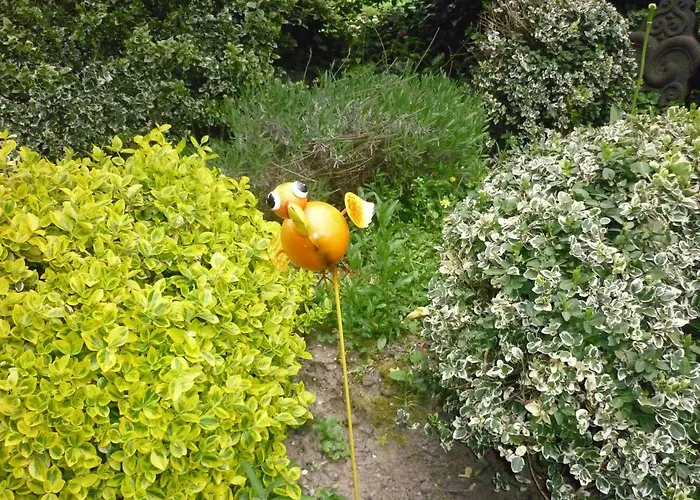 Couette-café Les Champs De Tracy La Graverie